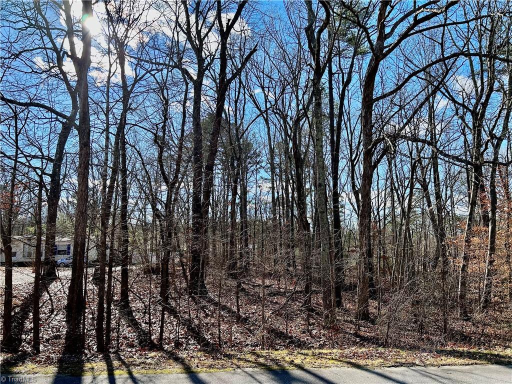 0 Morning Glory Road Randleman, NC 27317 - Photo 3 of 14 Gallery Image 3