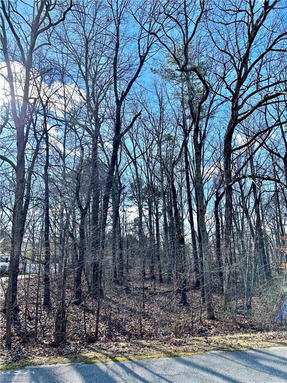 0 Morning Glory Road Randleman, NC 27317 - Photo 4 of 14 Gallery Image 4