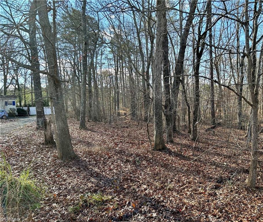 0 Morning Glory Road Randleman, NC 27317 - Photo 6 of 14 Gallery Image 6