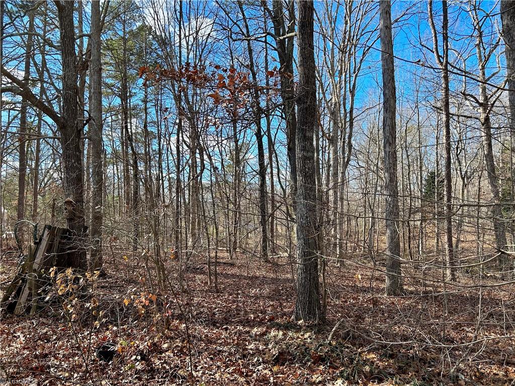 0 Morning Glory Road Randleman, NC 27317 - Photo 7 of 14 Gallery Image 7