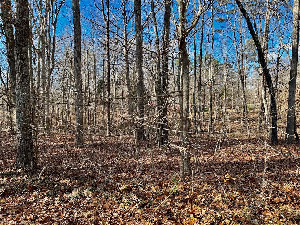 0 Morning Glory Road Randleman, NC 27317 - Photo 8 of 14 Gallery Image 8