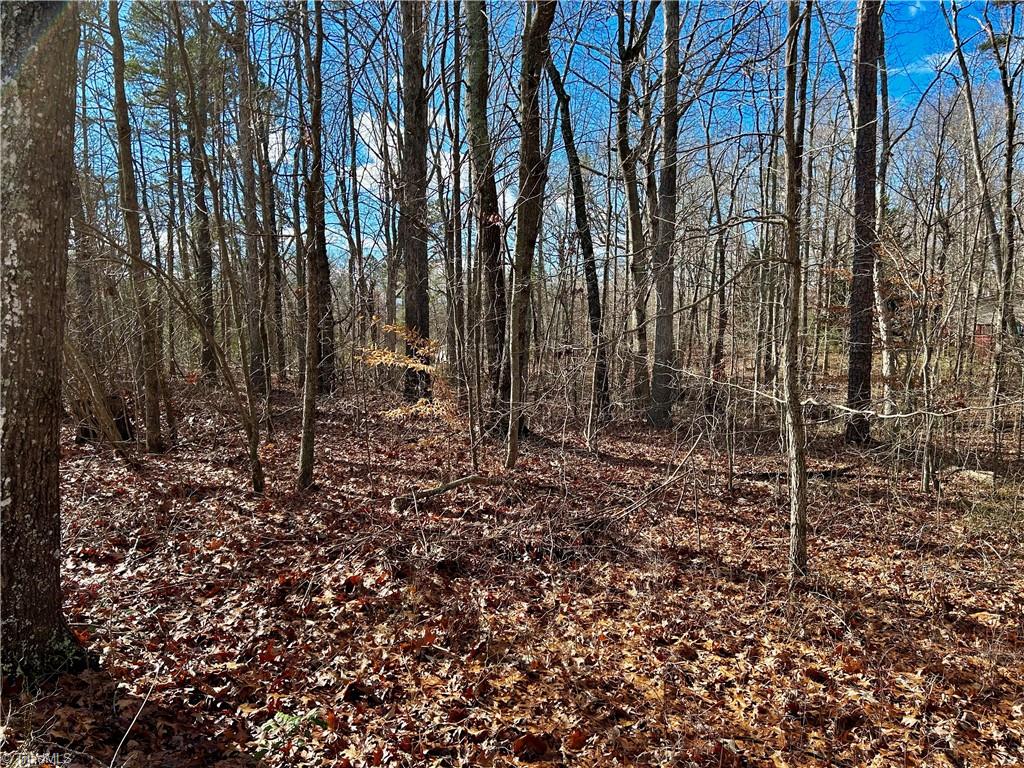 0 Morning Glory Road Randleman, NC 27317 - Photo 9 of 14 Gallery Image 9