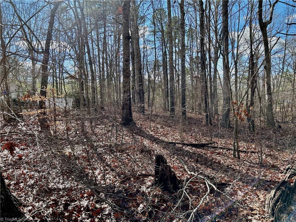 0 Morning Glory Road Randleman, NC 27317 - Photo 10 of 14 Gallery Image 10