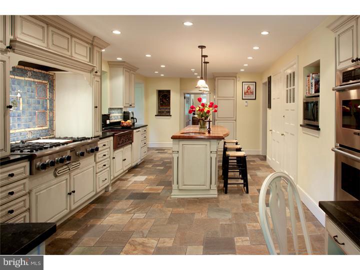 10 Righters Ferry Road Bala Cynwyd, PA 19004 - Photo 7 of 15 Kitchen