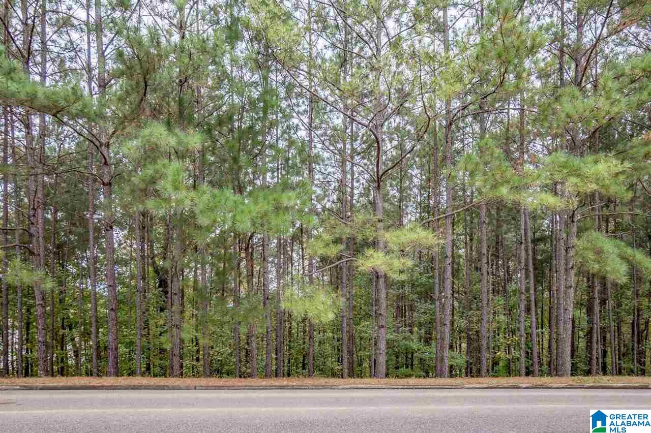 8048 Castlehill Road, Unit 8 Birmingham, AL 35242 - Photo 3 of 12
