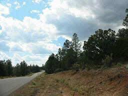 2874 Lodgepole Road, Unit 12 Overgaard, AZ 85933 - Photo 5 of 6 Additional Photo