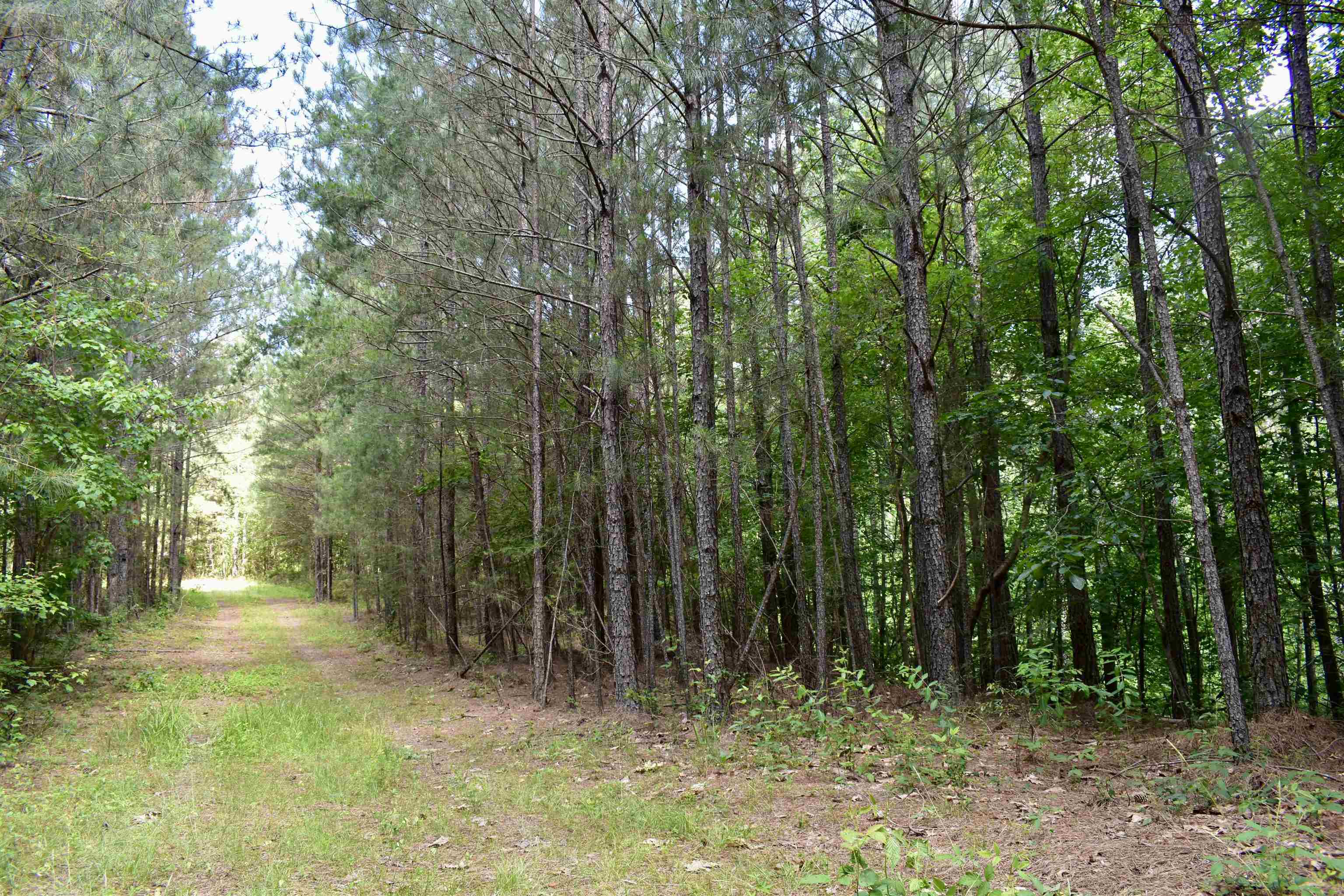 0 Nickelsville Road Ranger, GA 30734 - Photo 2 of 9