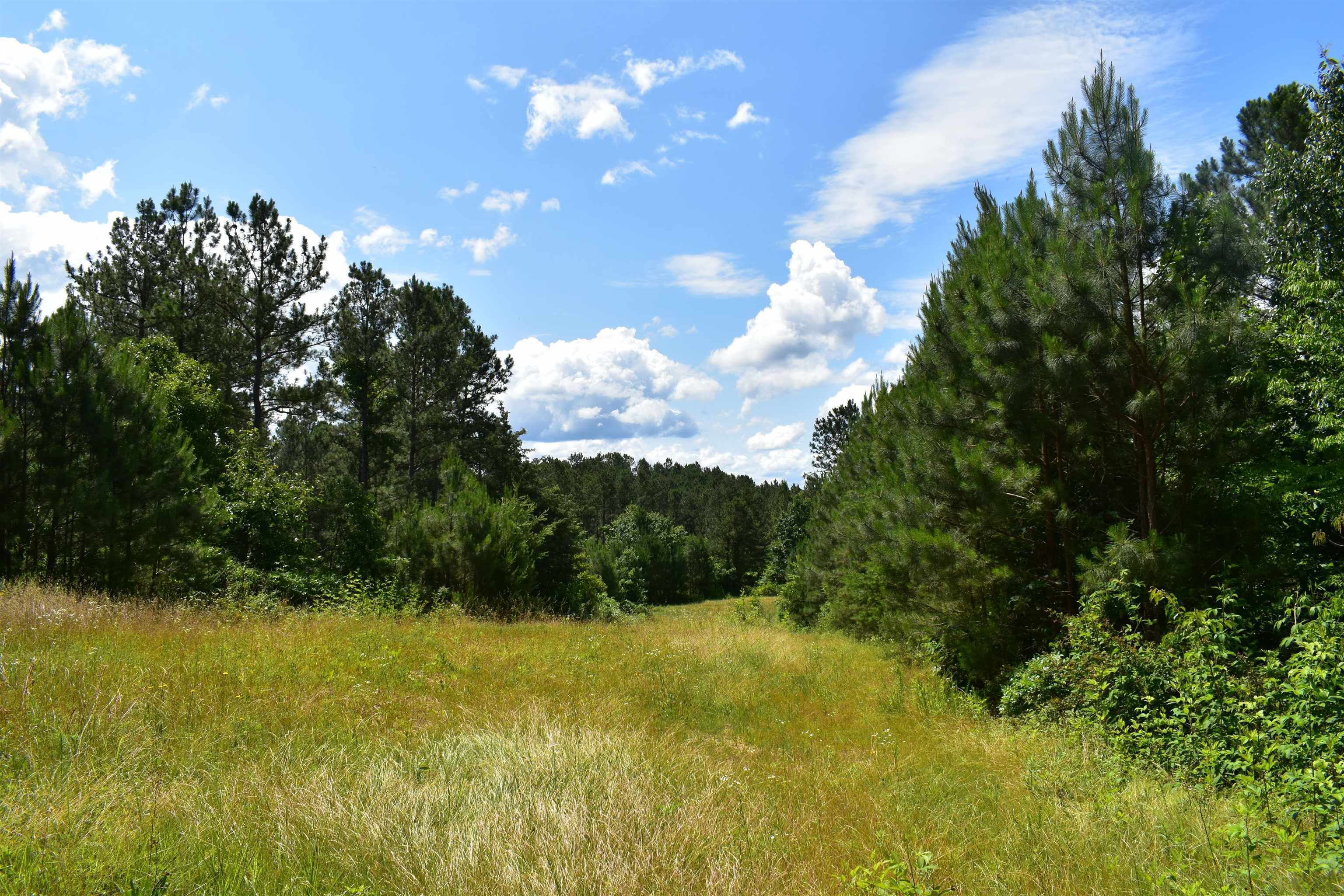 0 Nickelsville Road Ranger, GA 30734 - Photo 5 of 9