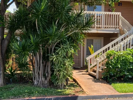 a view of balcony with potted plants and palm trees