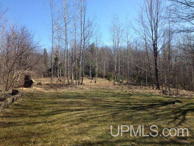340 Rolling Mill Road Negaunee, MI 49866 - Photo 5 of 14 Gallery Image 5