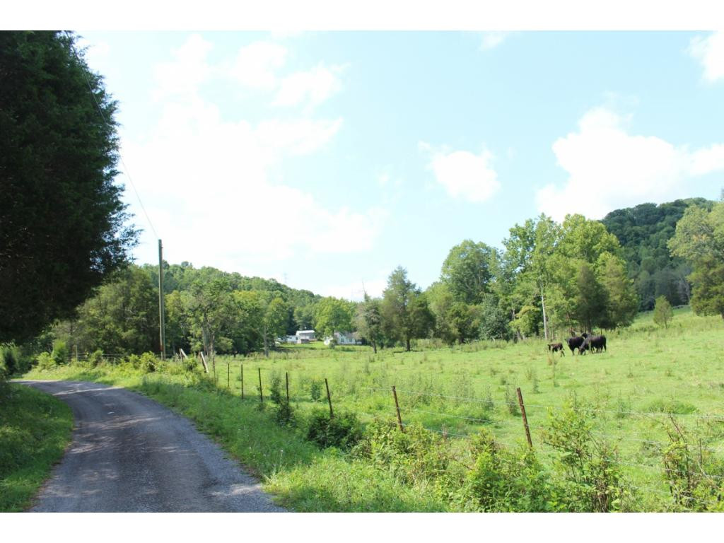 293 Bright Road Church Hill, TN 37642 - Photo 14 of 36 Photo 14