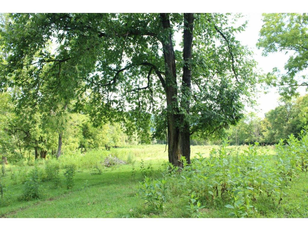 293 Bright Road Church Hill, TN 37642 - Photo 24 of 36 Photo 24