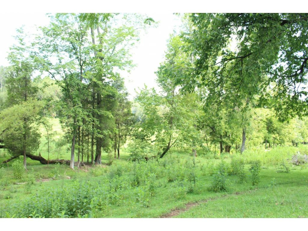 293 Bright Road Church Hill, TN 37642 - Photo 25 of 36 Photo 25