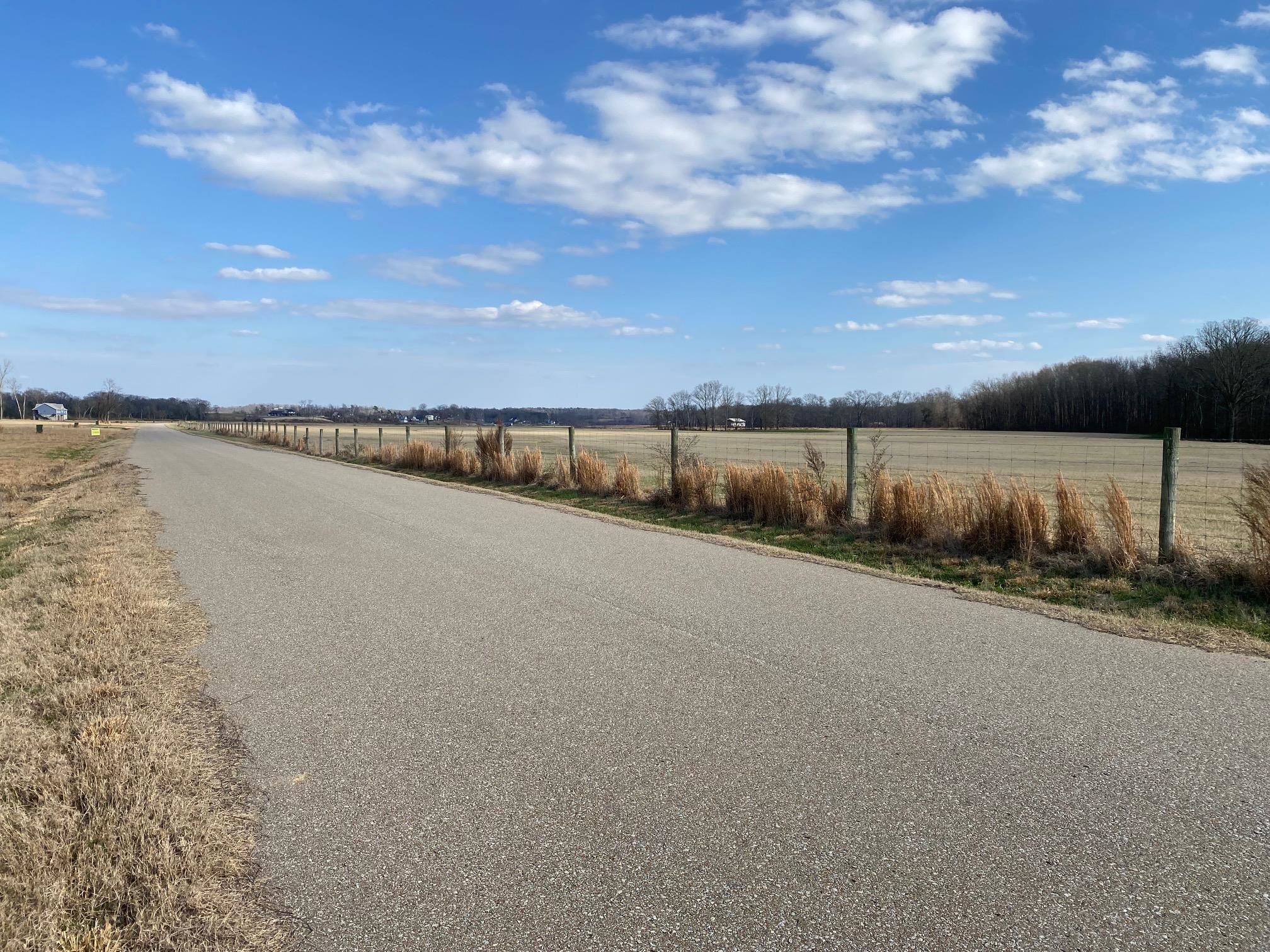 Lot 44 Cravens Road Savannah, TN 38372 - Photo 11 of 15 a view of a terrace with lake view