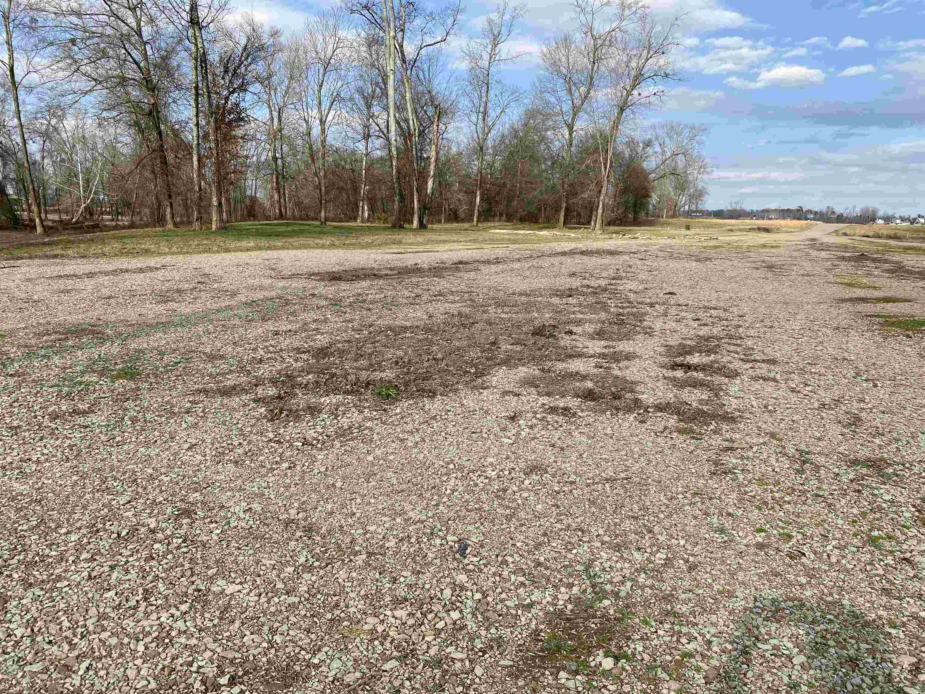 Lot 44 Cravens Road Savannah, TN 38372 - Photo 12 of 15 a view of dirt field with trees