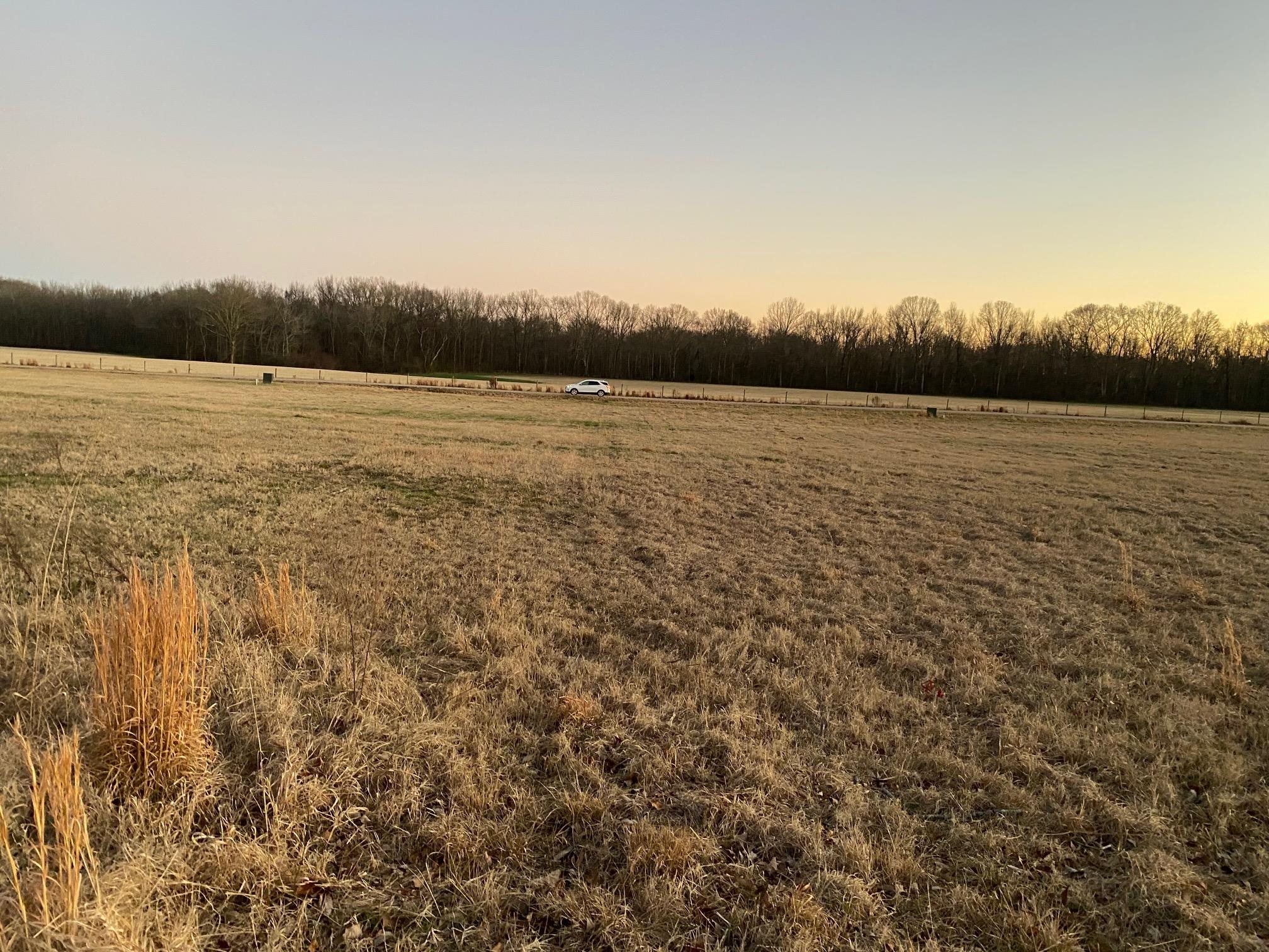 Lot 44 Cravens Road Savannah, TN 38372 - Photo 13 of 15 a view of lake