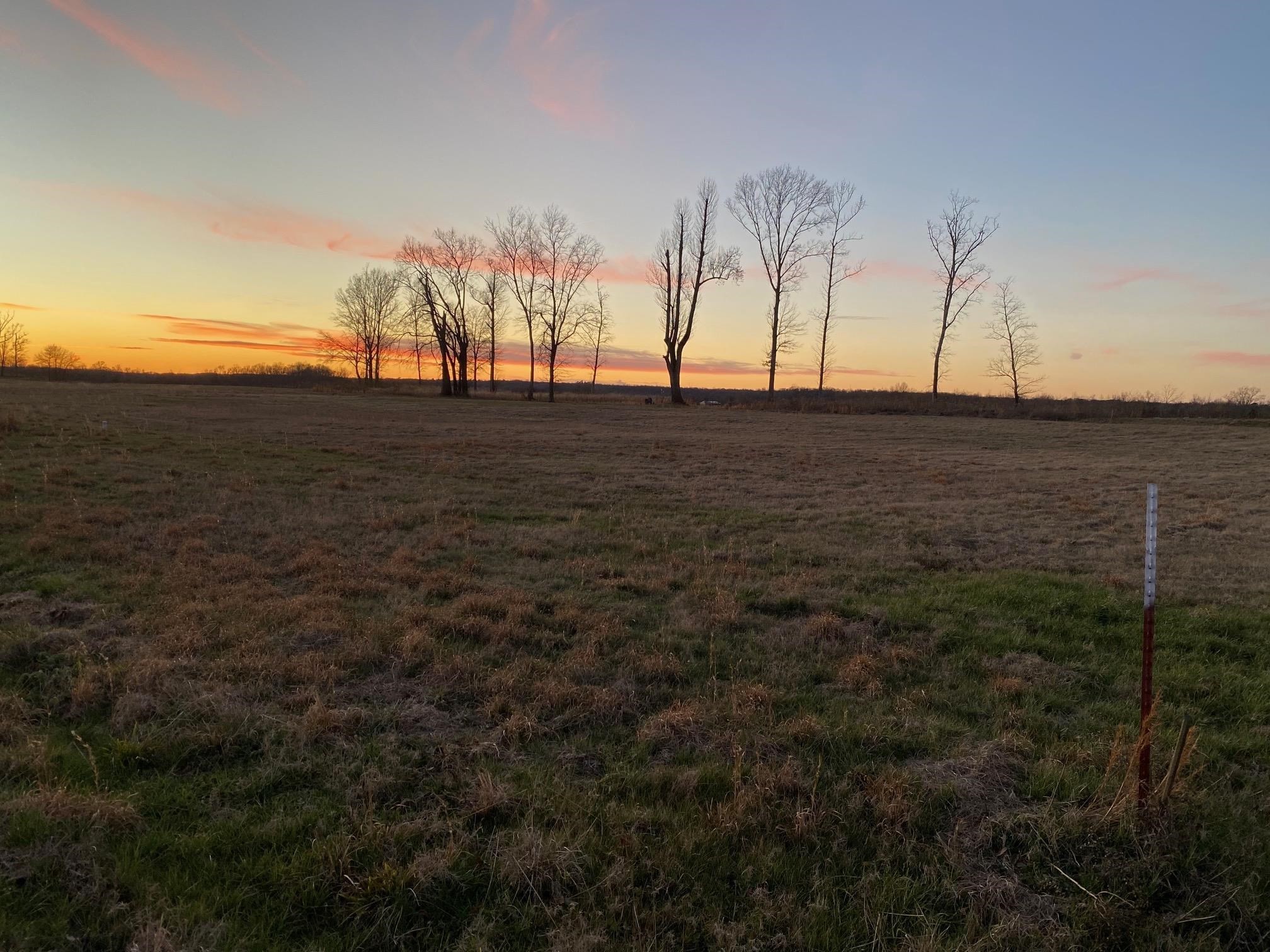 Lot 44 Cravens Road Savannah, TN 38372 - Photo 14 of 15 a view of three trees