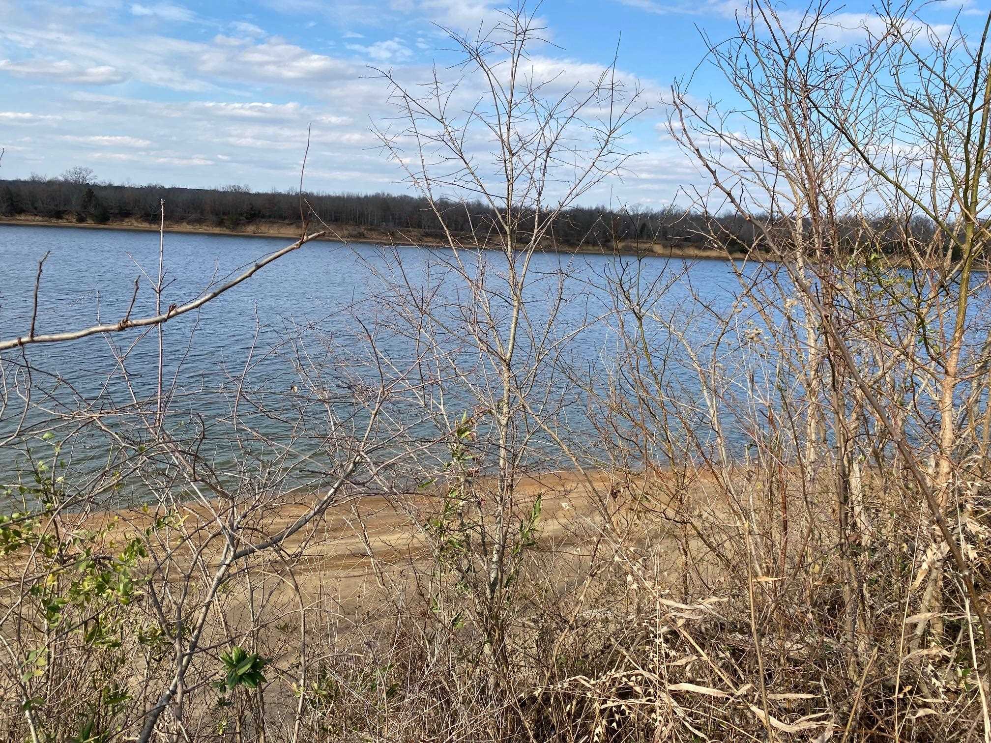 Lot 44 Cravens Road Savannah, TN 38372 - Photo 2 of 15 a view of under construction area
