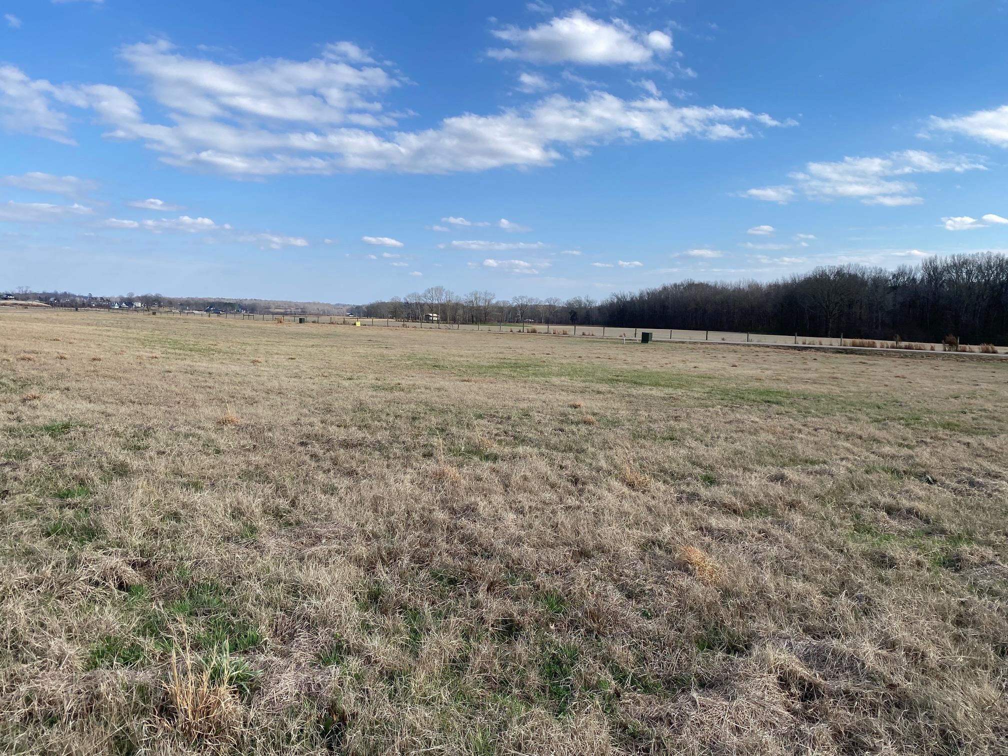 Lot 44 Cravens Road Savannah, TN 38372 - Photo 3 of 15 a view of an ocean and beach