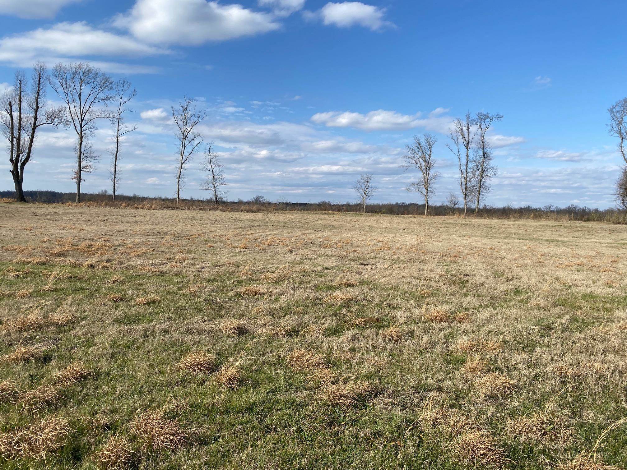 Lot 44 Cravens Road Savannah, TN 38372 - Photo 4 of 15 a view of a water yard