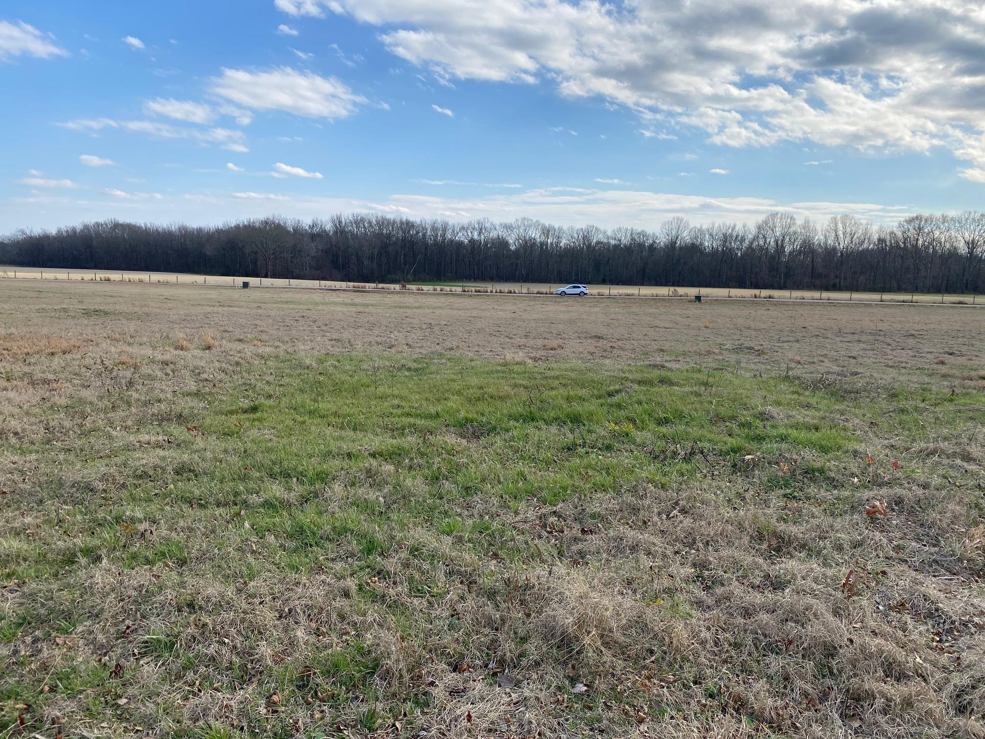 Lot 44 Cravens Road Savannah, TN 38372 - Photo 5 of 15 a view of outside space with mountain in background