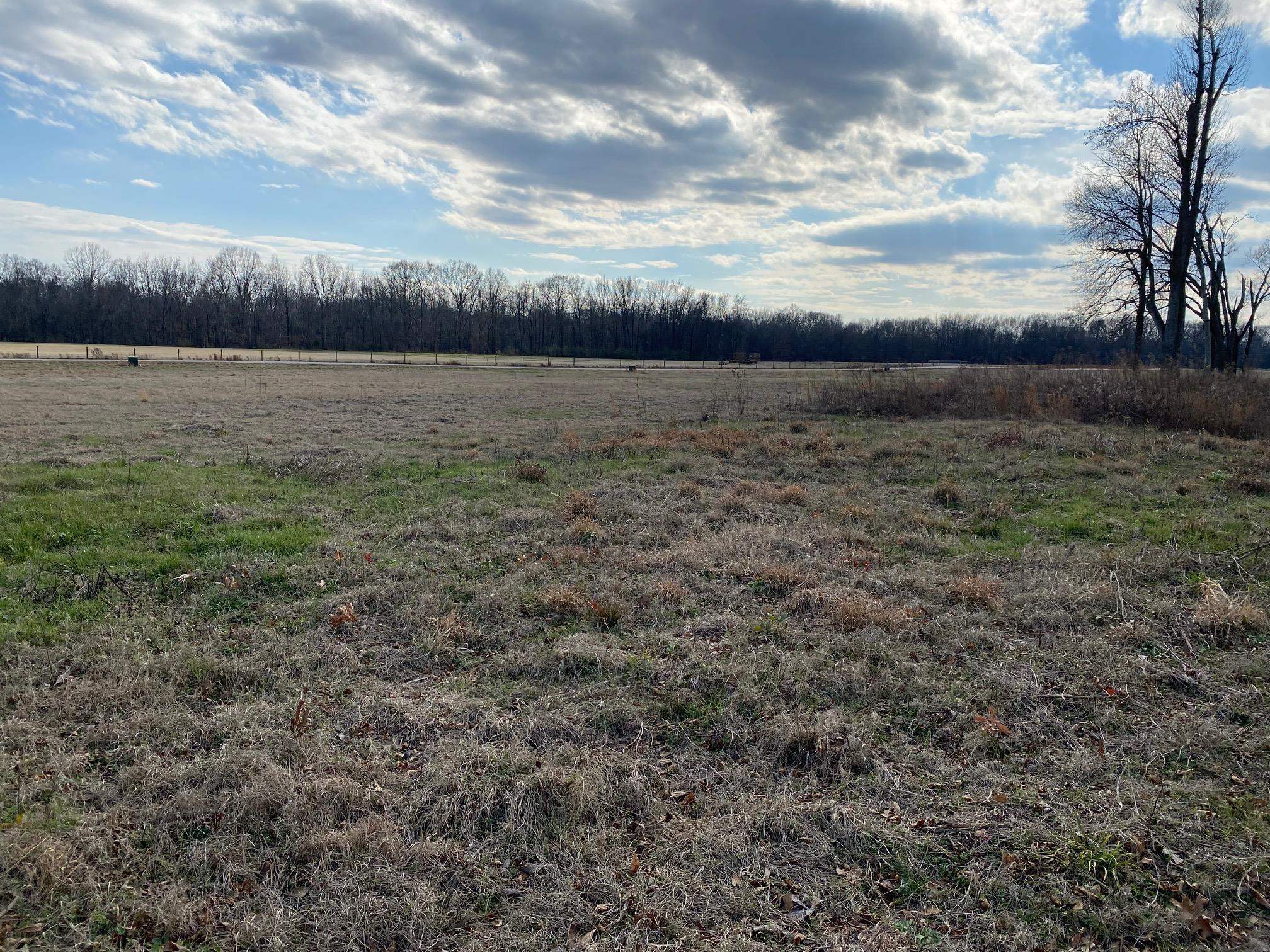 Lot 44 Cravens Road Savannah, TN 38372 - Photo 10 of 15 a view of a field with trees in the background
