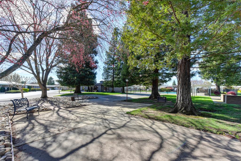 14789 Jurata Court Rancho Murieta, CA 95683 - Photo 29 of 36 a view of a park with large trees