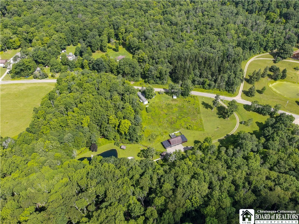 738 Butternut Brook Genesee, NY 14770 - Photo 41 of 47
