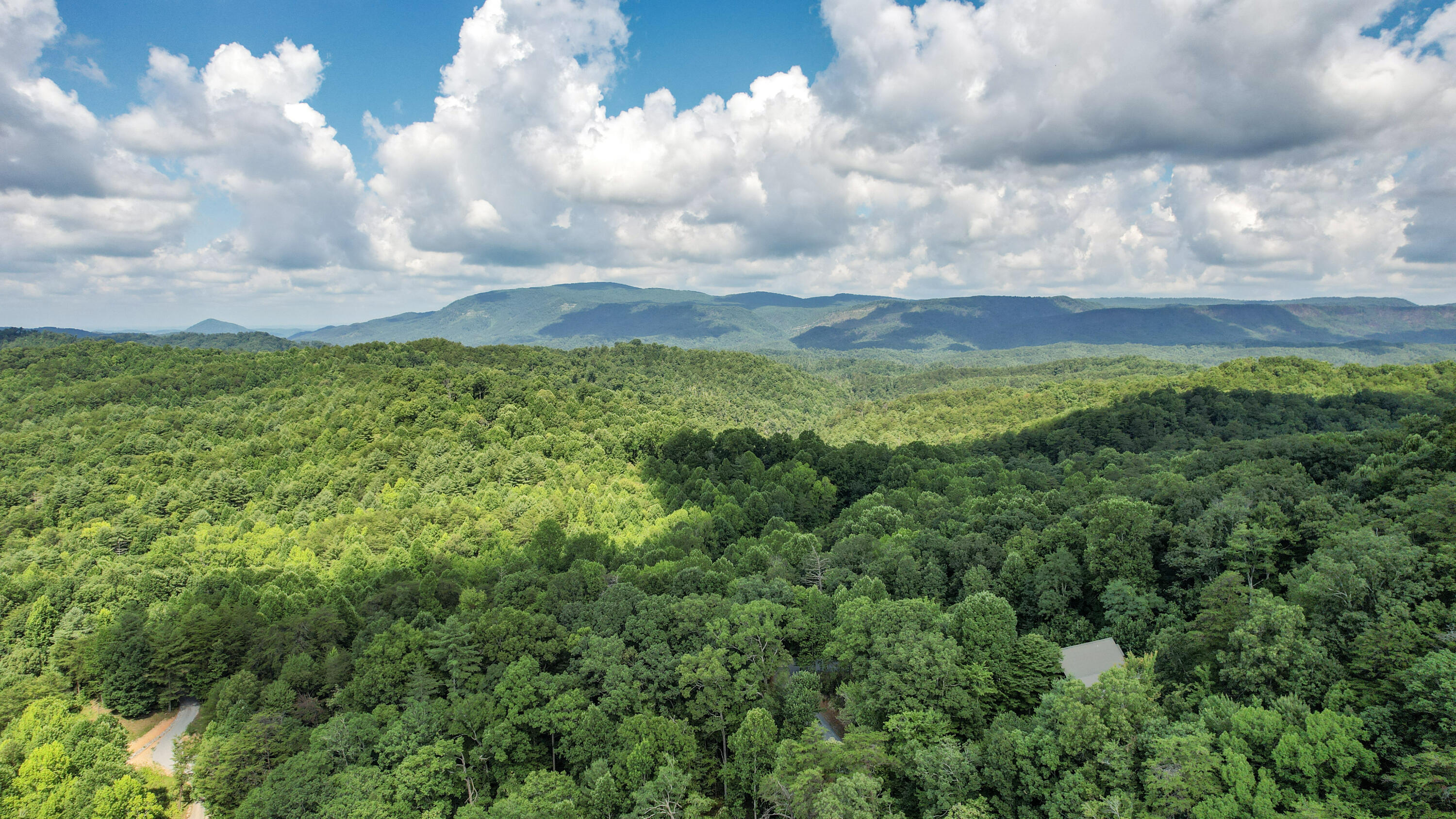 186 Caney Creek Road Reliance, TN 37369 - Photo 83 of 89 84-DJI_0017