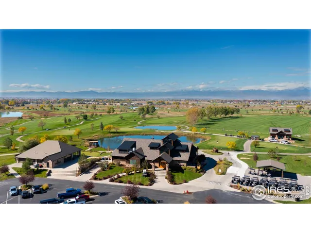 a picture of outdoor space with lots of trees