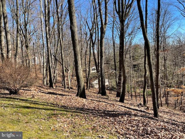 1910 Richard Road Willow Grove, PA 19090 - Photo 3 of 15 Gallery Image 3