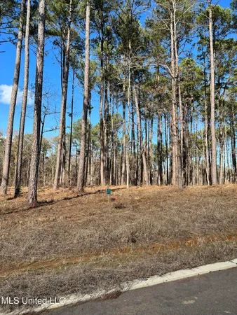 $98,175 | 0 Venus Drive, Canton, MS 39046