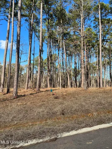 $98,175 | 0 Venus Drive, Canton, MS 39046