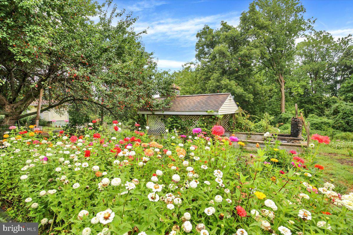 149 Bingaman Road Reading, PA 19606 - Photo 52 of 60 Beautiful setting for a picnic