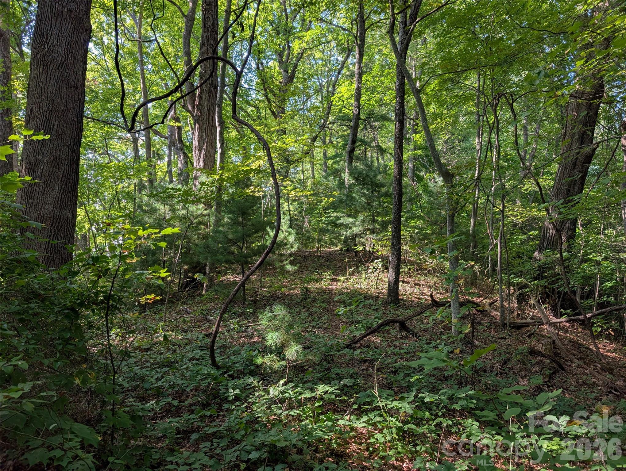 0 Raspberry None Spring Creek, Unit NONE Hot Springs, NC 28743 - Photo 4 of 9 Gallery Image 4