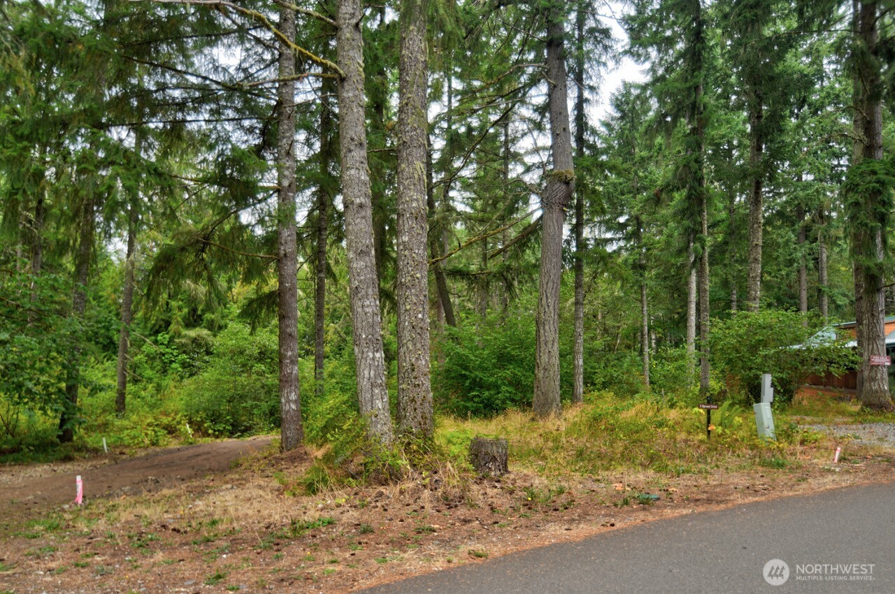 1546 Reservation Road Southeast, Unit 156 Olympia, WA 98513 - Photo 4 of 21 Gallery Image 4