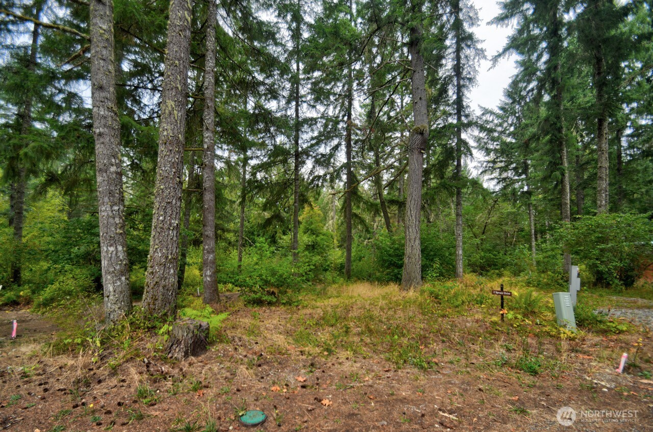 1546 Reservation Road Southeast, Unit 156 Olympia, WA 98513 - Photo 5 of 21 Gallery Image 5