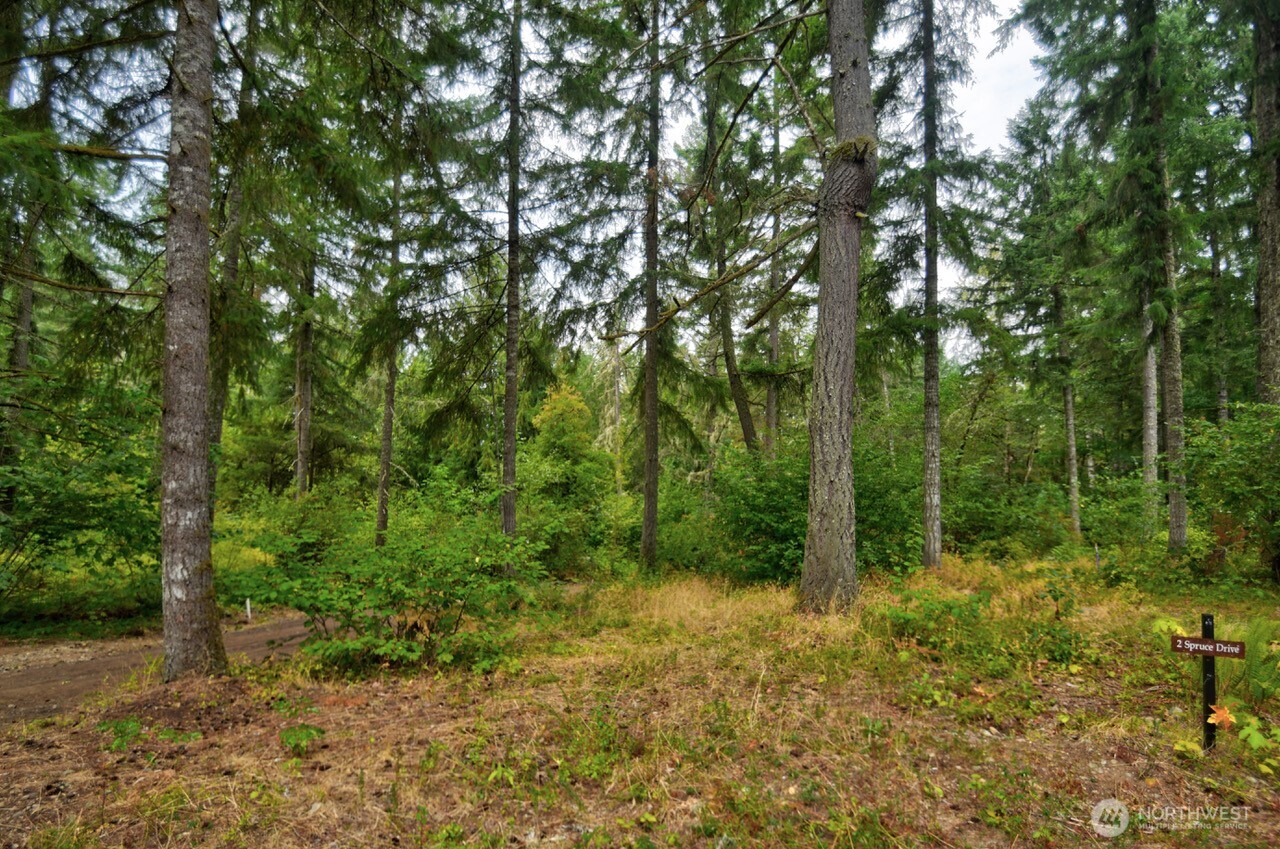 1546 Reservation Road Southeast, Unit 156 Olympia, WA 98513 - Photo 6 of 21 Gallery Image 6