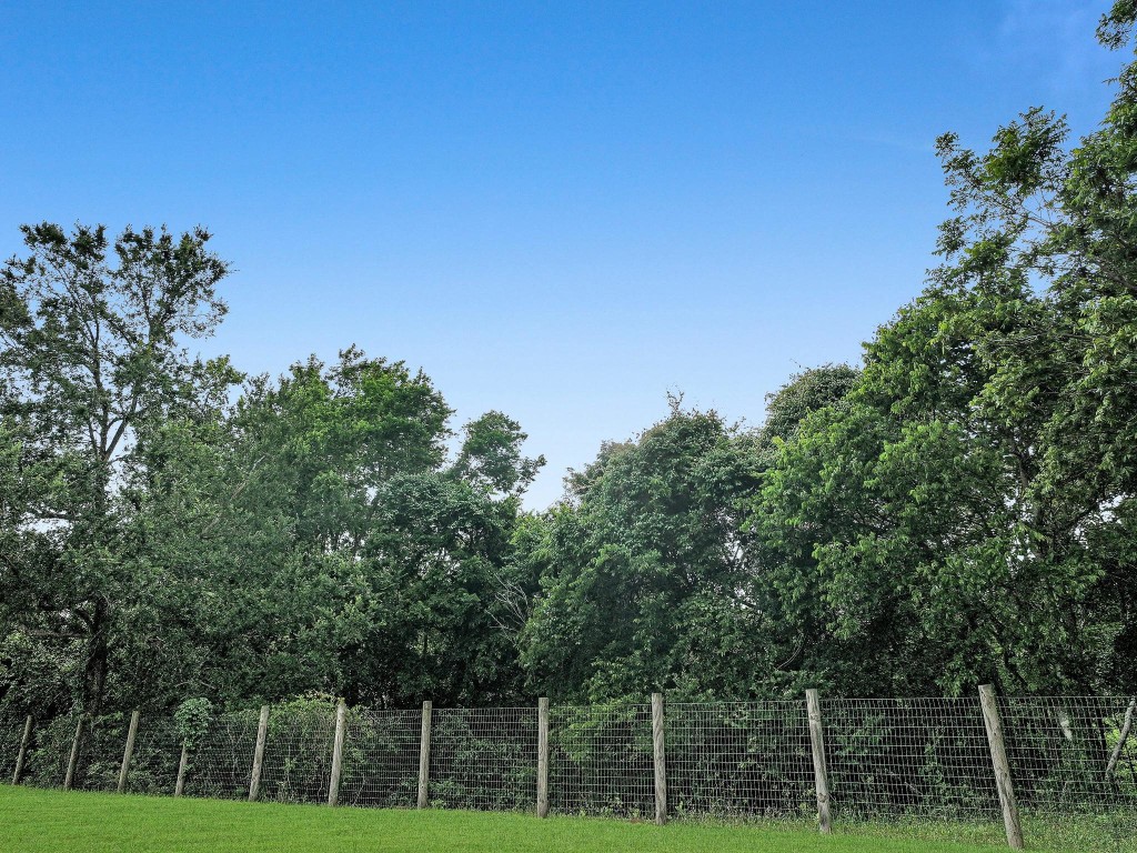 1771 Wilpitz Road Brookshire, TX 77423 - Photo 48 of 50 a view of a yard with a tree in the background
