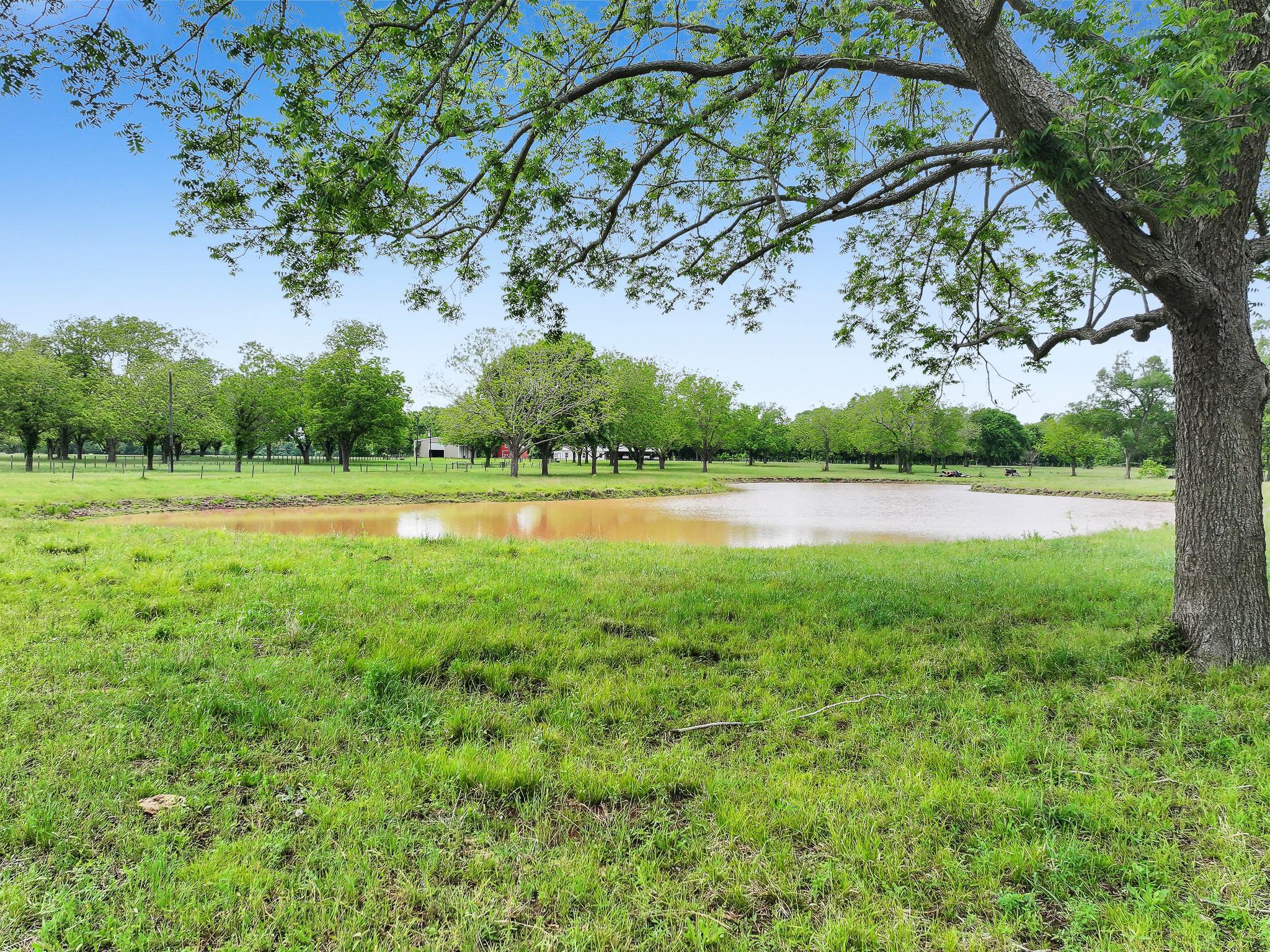 1771 Wilpitz Road Brookshire, TX 77423 - Photo 49 of 50 a view of a field with trees in the background