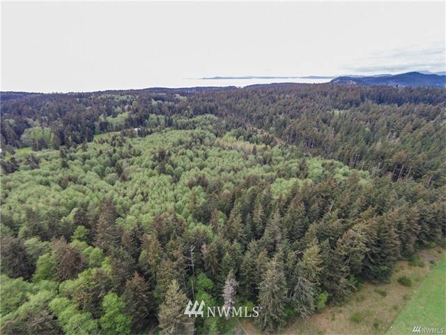 0 North Kinzie Road Oak Harbor, WA 98277 - Photo 5 of 7 Gallery Image 5