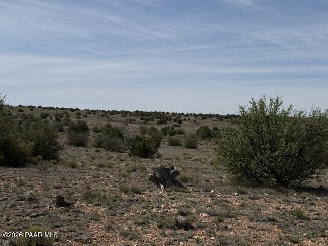 363- Via Dolorosa Road Seligman, AZ 86337 - Photo 18 of 18 IMG_1076