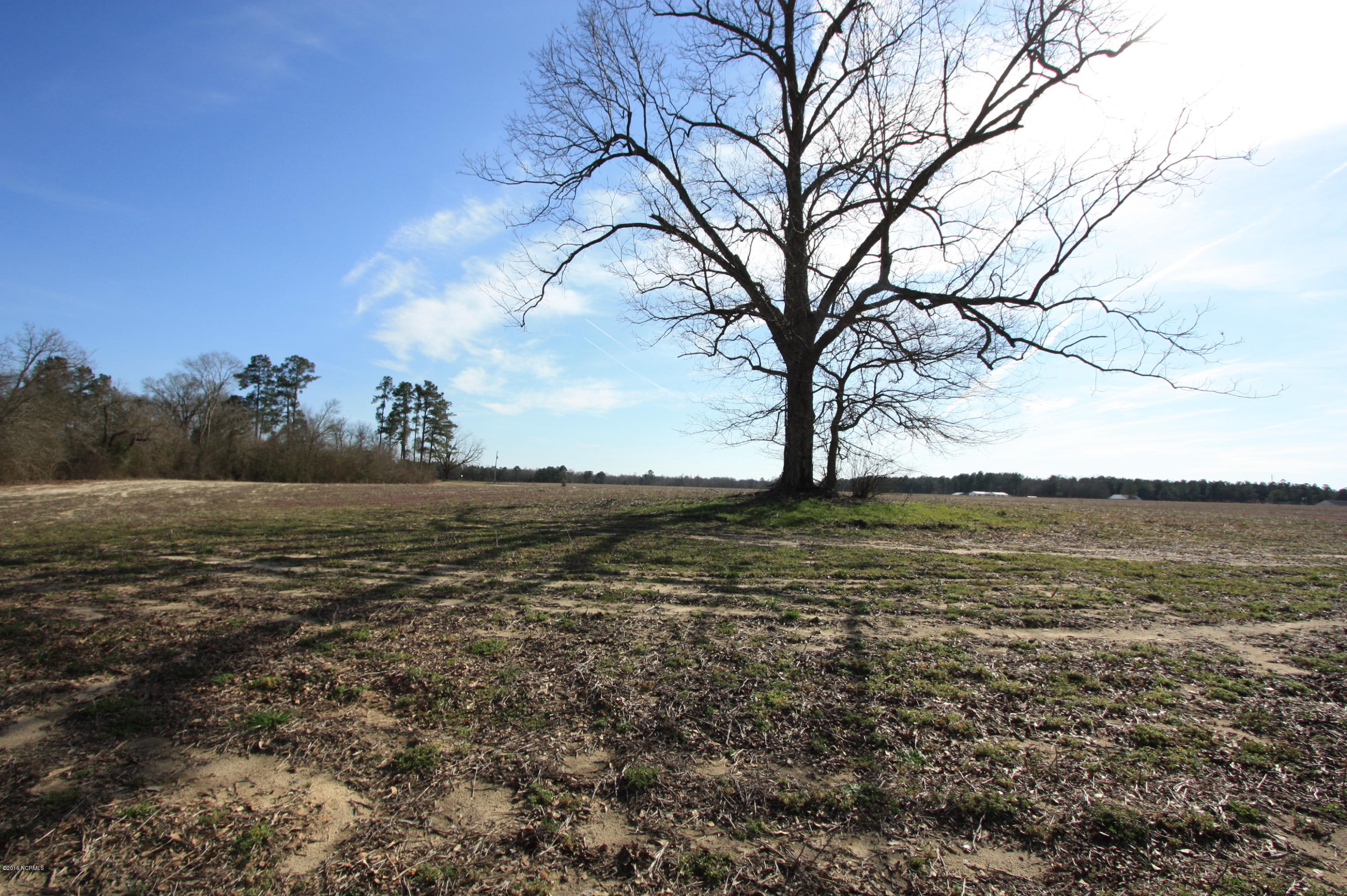 Lot 1 Brisson Road St. Pauls, NC 28384 - Photo 1 of 8 IMG_3844
