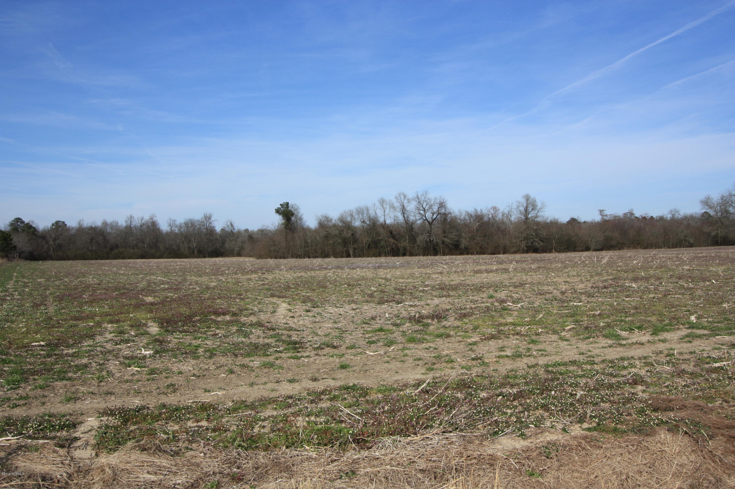 Lot 1 Brisson Road St. Pauls, NC 28384 - Photo 2 of 8 IMG_3835