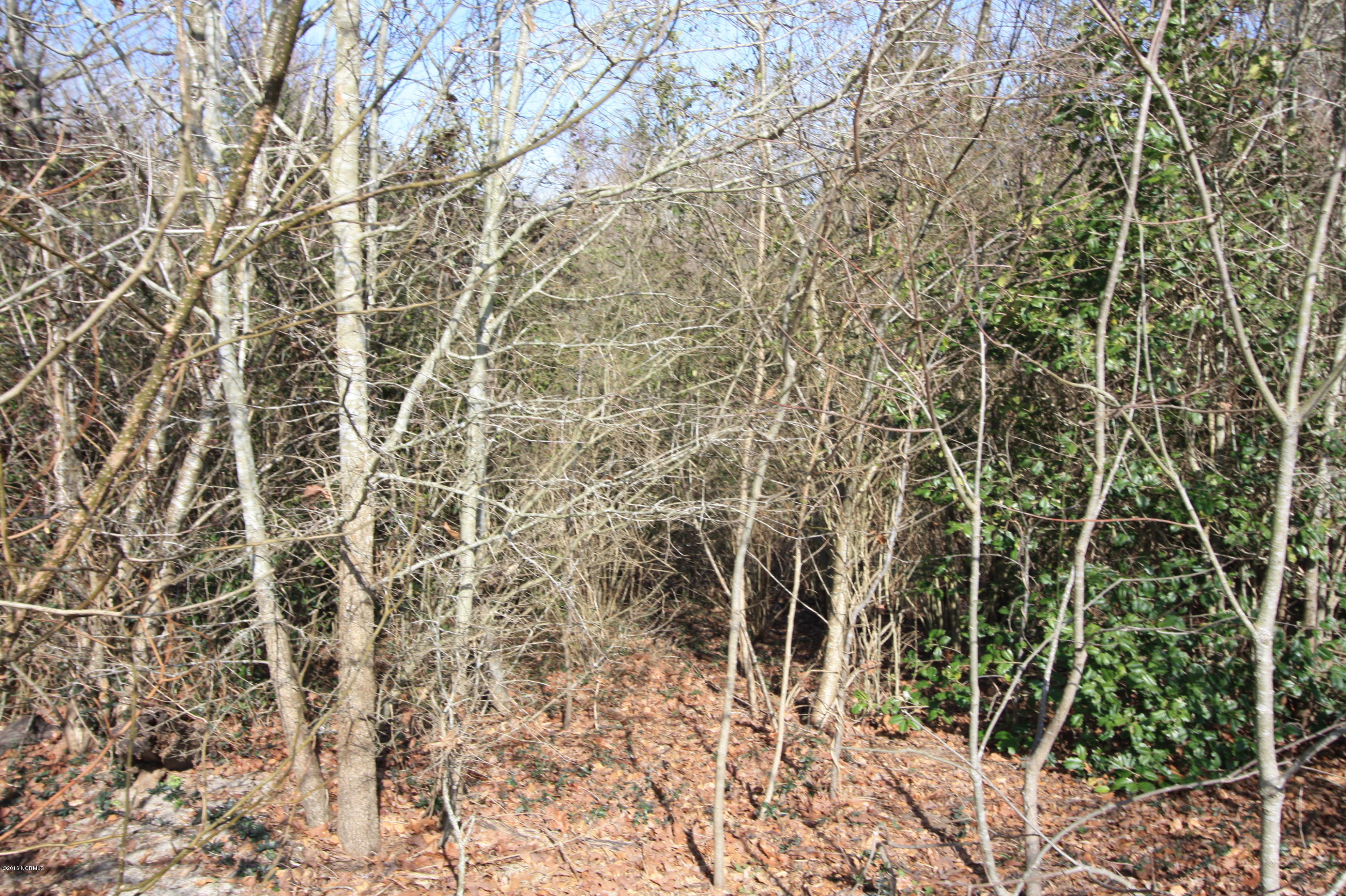 Lot 1 Brisson Road St. Pauls, NC 28384 - Photo 5 of 8 IMG_3838