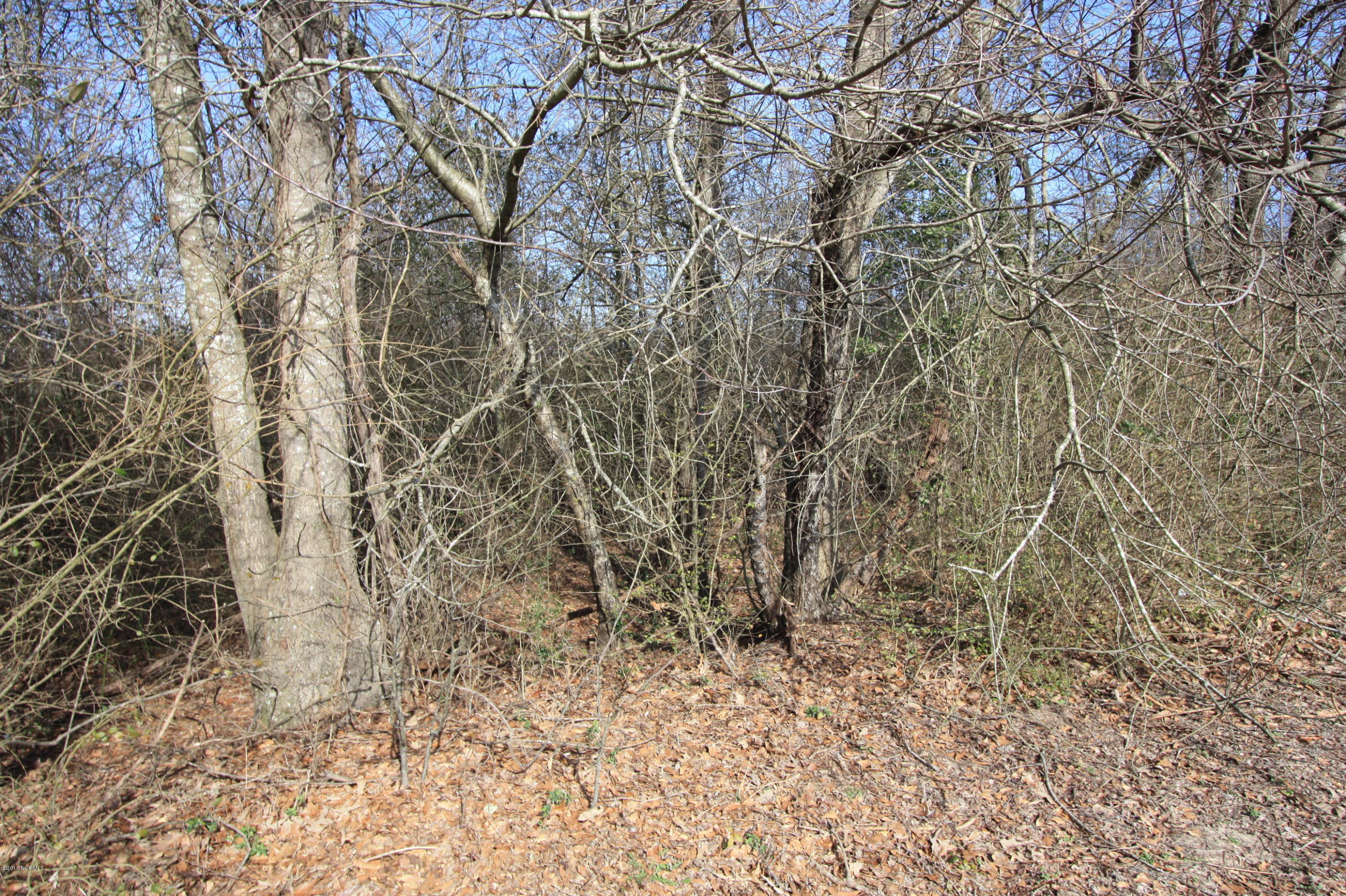 Lot 1 Brisson Road St. Pauls, NC 28384 - Photo 7 of 8 IMG_3845