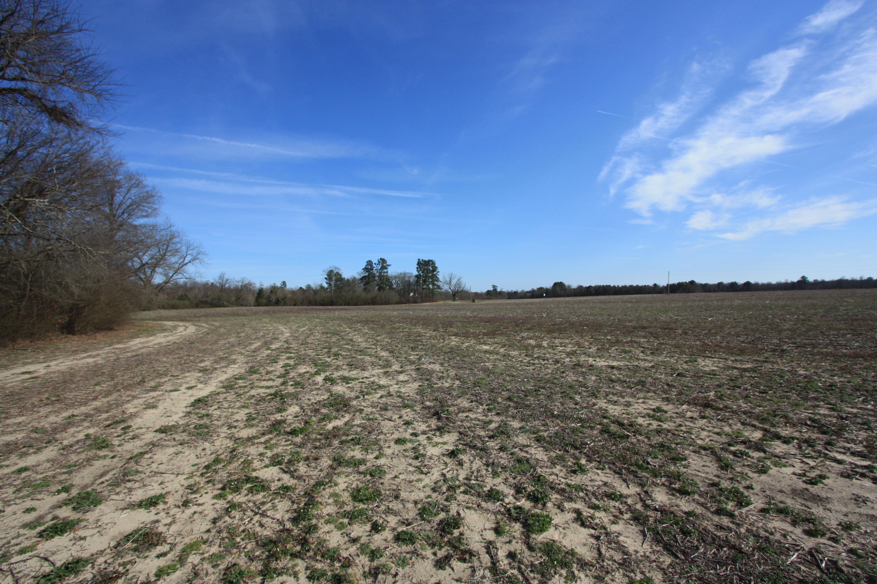 Lot 1 Brisson Road St. Pauls, NC 28384 - Photo 8 of 8 IMG_3846