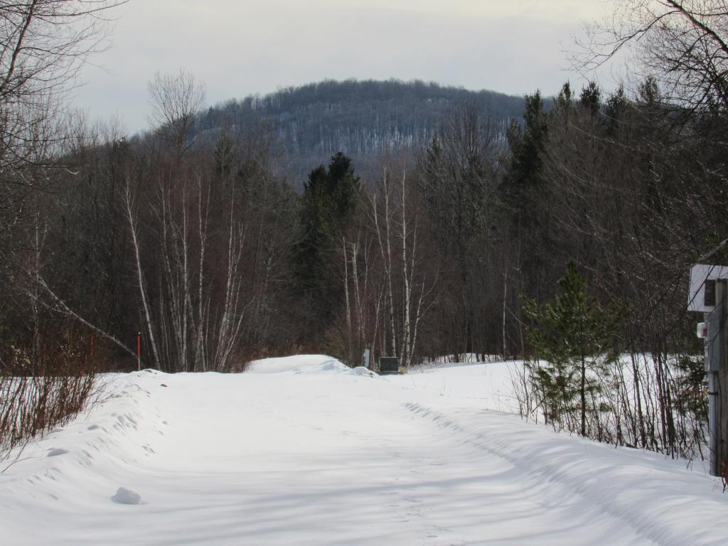 Lot 7 Gendron Road Jay, VT 05859 - Photo 1 of 11 Gallery Image 1