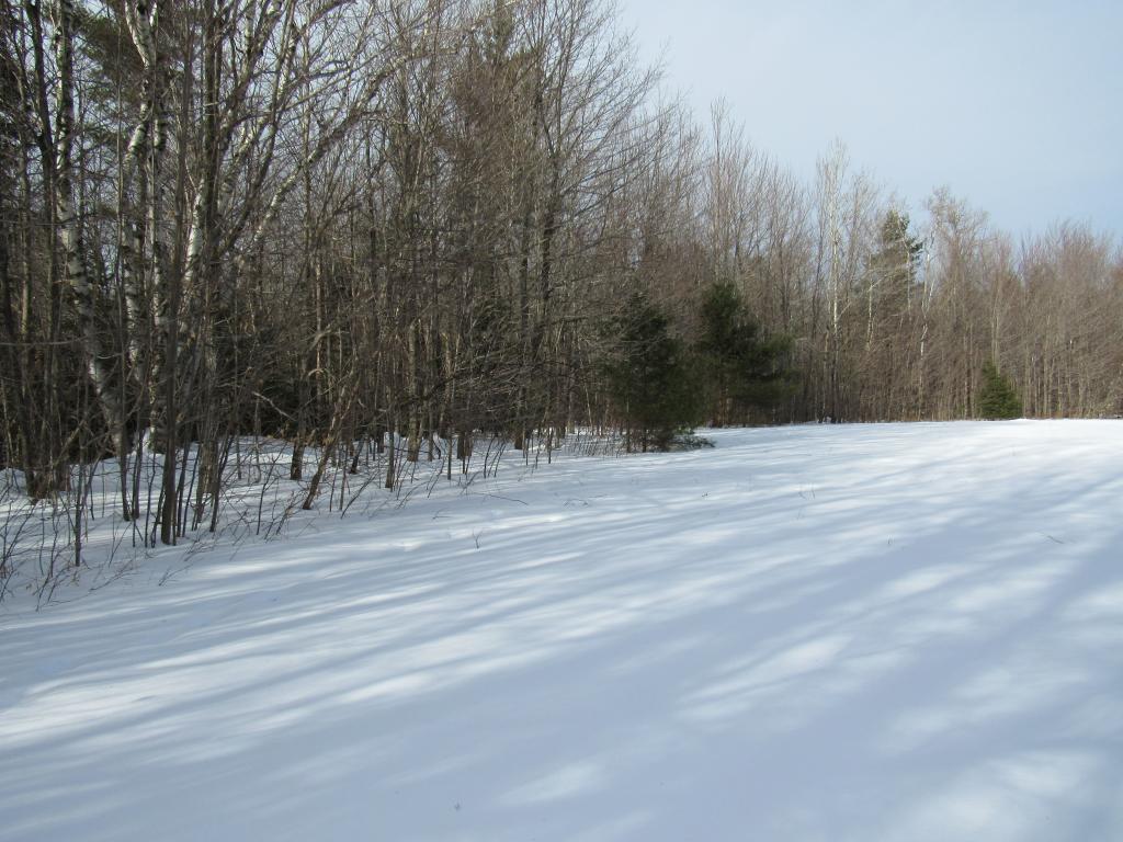 Lot 7 Gendron Road Jay, VT 05859 - Photo 2 of 11 Gallery Image 2