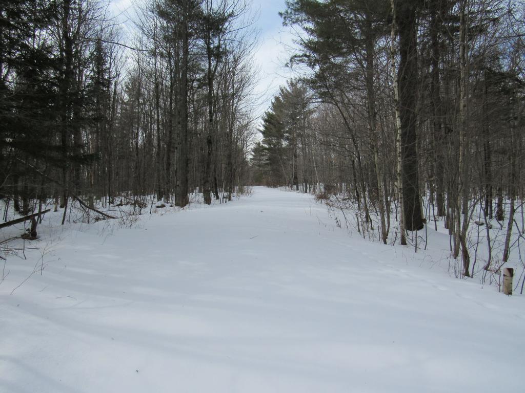 Lot 7 Gendron Road Jay, VT 05859 - Photo 3 of 11 Gallery Image 3